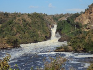 The Great Murchison Falls