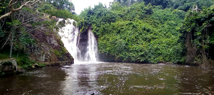 1 Day Jinja tour - City tour from Kampala - Mabira Forest, Source of the Nile and Ssezibwa Falls