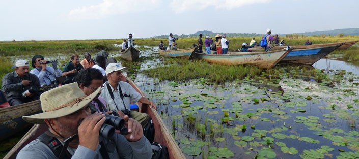 1 Day Mabamba Swamp Birding tour - Shoebill stork Uganda