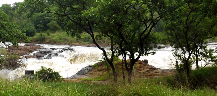 2 Days Murchison Falls safari, wildlife viewing tour, hiking top of the falls - Murchison Falls National Park