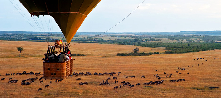3 Days Masai Mara flying safari - wildlife adventure tour