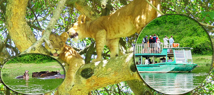 3 Days Queen Elizabeth Safari - Tree Climbing Lions, Boat ride