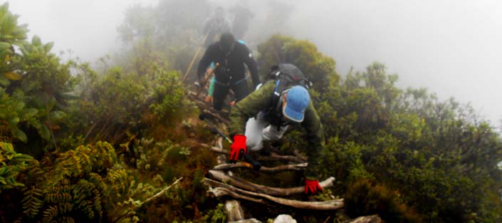 3 Days Sabyinyo Mountain Hike tour - 3,669m top of the Volcano