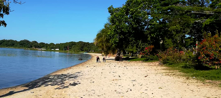 3 Days Ssese Islands Tour - Brovad Sands Beach