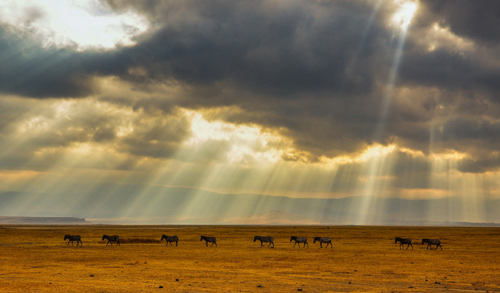 Game Viewing Experience in Ngorongoro Conservation Area - 3 Days Tarangire & Ngorongoro Crater Safari