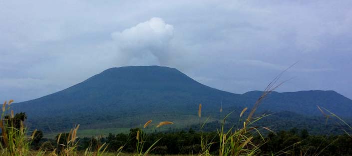 4 Days Nyiragongo Volcanoe hike - Congo & Gorilla trek in the Volcanoes - Rwanda