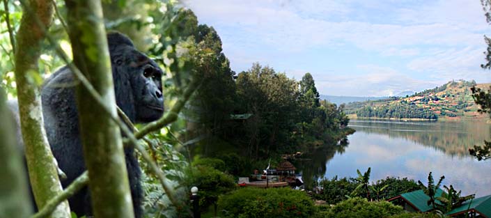 6 Days Gorilla tracking Nkuringo, Lake Mburo, Lake Bunyonyi and Mgahinga hike safari