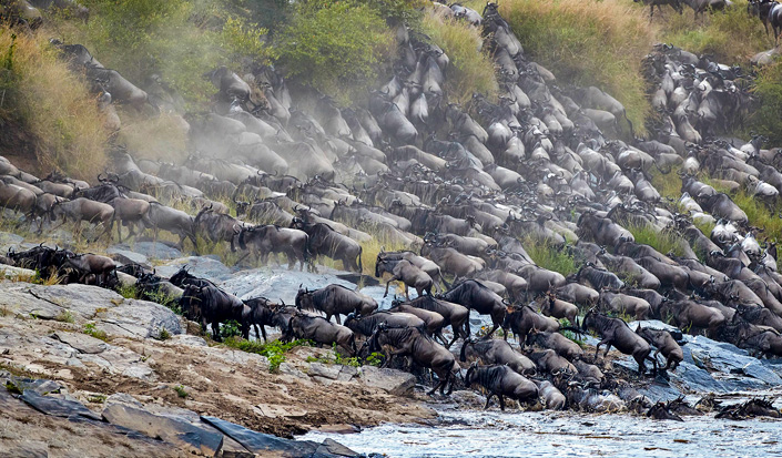 The Great Migration Experience - 9 Days Serengeti Wildebeest Migration Safari