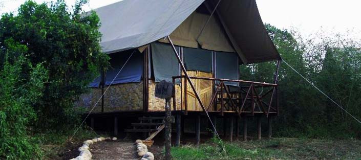 Bush lodge