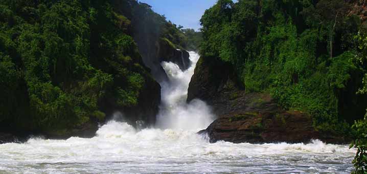 The Murchison falls - Murchison falls National Park