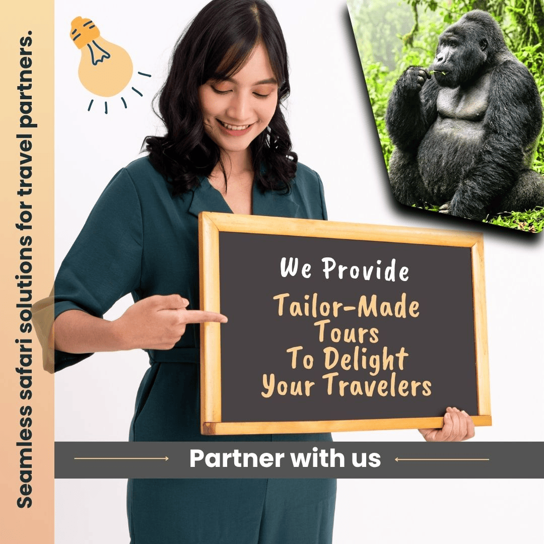 Partner with Us - African Adventure Travellers