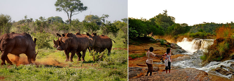 Rhino Tracking Experience and Top of the Falls Visit