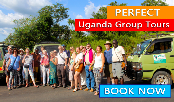 Amazing Group Tour Experience