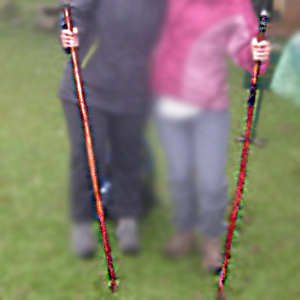 Walking sticks - gorilla trekking in Uganda