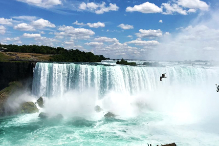 The Niagara falls and Murchison Falls