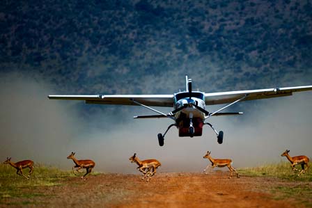 3 Days Masai Mara flying safari