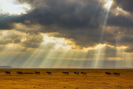 3 Days Tarangire & Ngorongoro Crater Safari