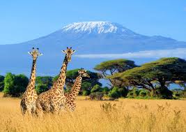 Tanzania National Parks