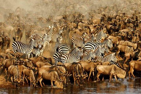 Serengeti National Park