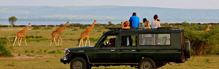 11 Days Best of Uganda Luxury Safari