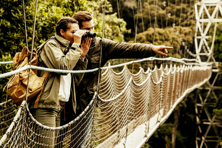 3 Days Nyungwe Forest Tour