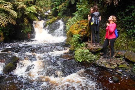 Nyungwe Forest National Park