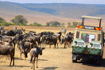 Tanzania Safaris