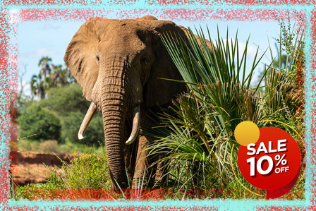 3 Days Uganda Big Five Safari